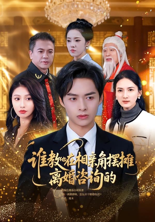 谁教他在相亲角摆摊离婚咨询的(全集)